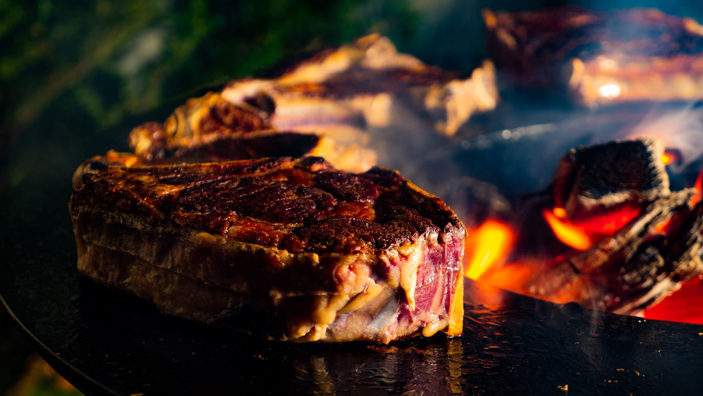 Cookpit BBQ "The Aviator" M